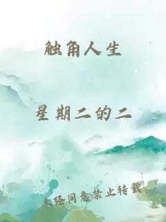 触角人生